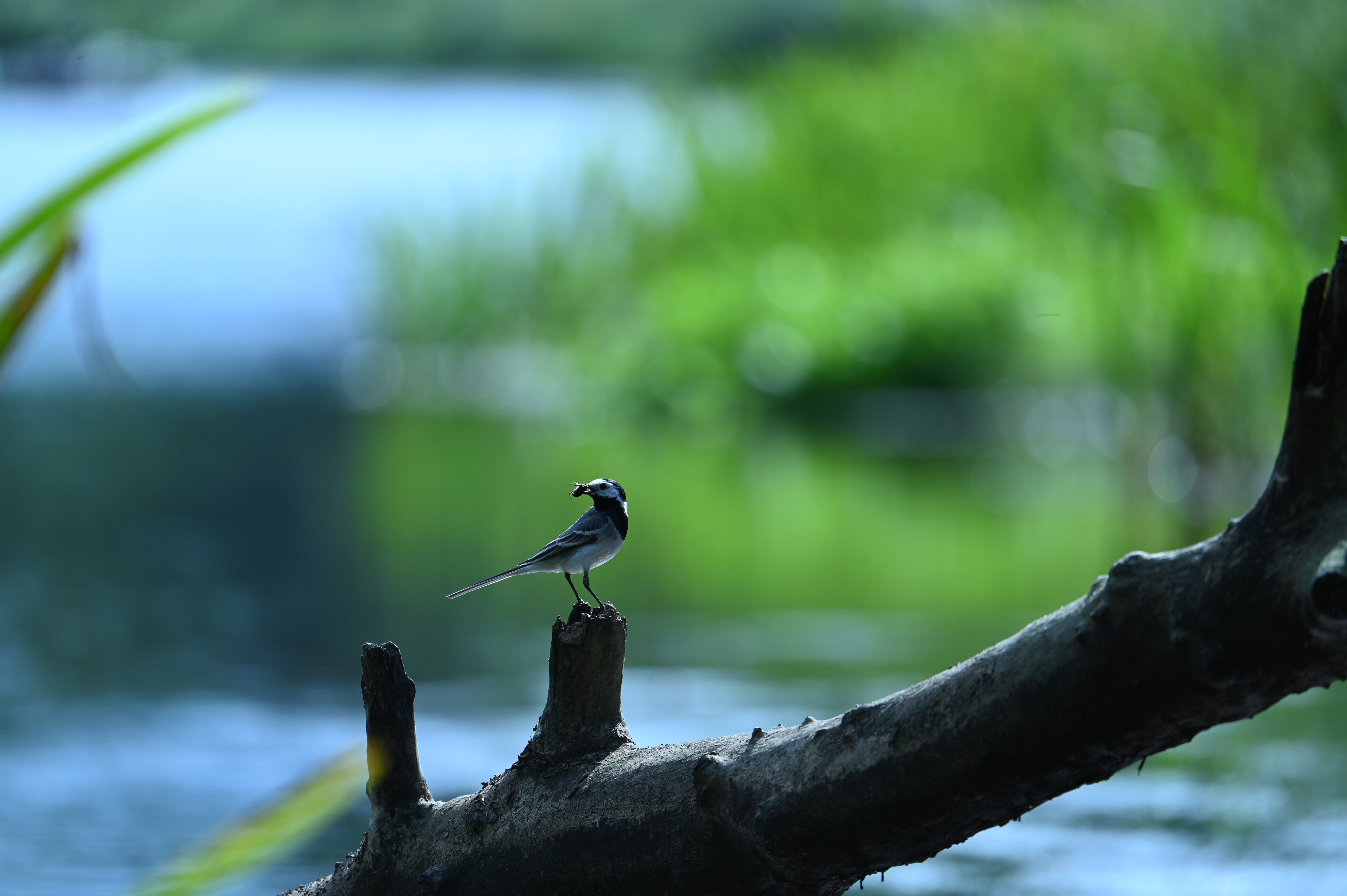 2025/07/09-14 - trip/DSC_0329.JPG